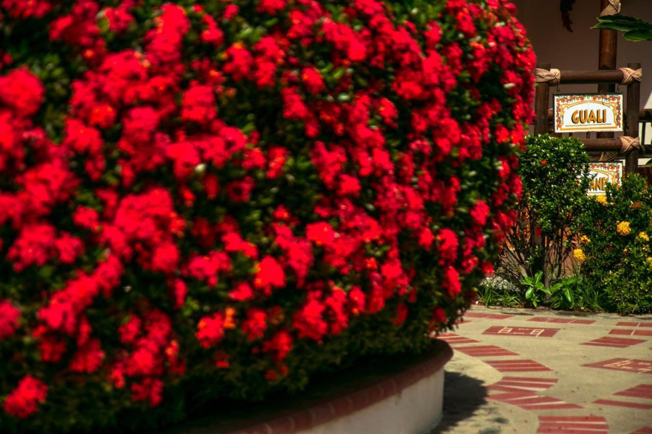 Hosteria Tonusco Campestre Santa Fe de Antioquia Esterno foto